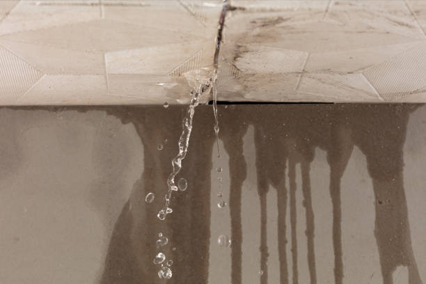 Professional Burst Pipe Cleanup technician working in Madison, GA